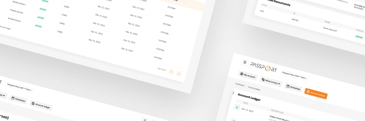 Passport Design System. Online Banking & Finance Management